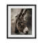 «All Ears Donkey», reproduction sous verre encadrée, design par Robin-Lee Viera-956485166-956485164