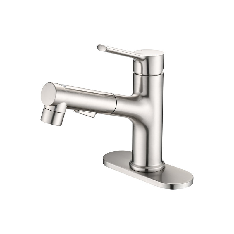 Single-hole Single-handle Bathroom Faucet With Pull Out Sprayer, Brushed Nickel