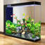 Aquarium 100 à 110 gallons en acrylique moderne Eco-129229273-129229277