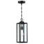 Schlesinger Outdoor Hanging Lantern