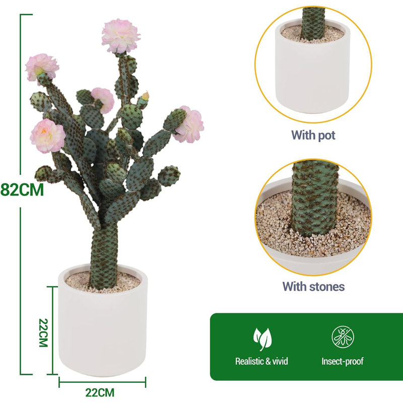 82cm Plant