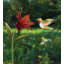 Piquet de jardin en métal Hummingbird Flower-1690802842
