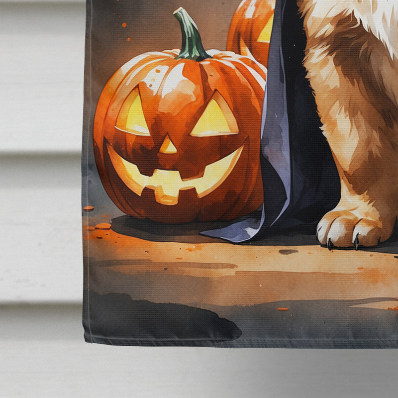 Drapeau de chiot Halloween House, Chow-chow
