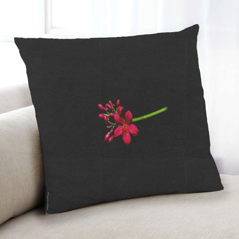 Coussin décoratif Color Focus, Synthétique