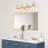 Dannalyn Dimmable Vanity Light-565327615