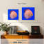 Poissons discus exotiques Brampt