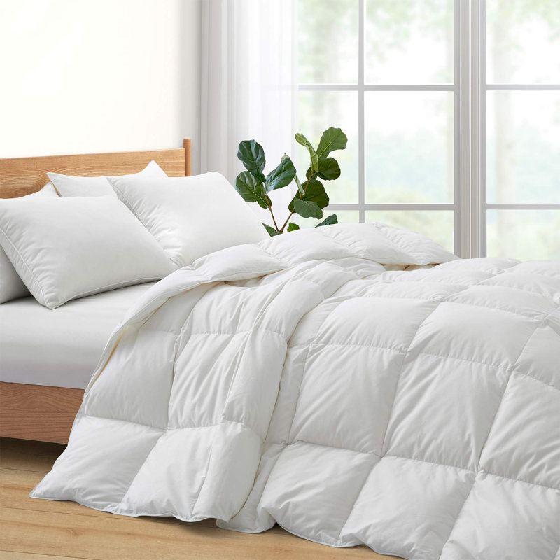 600in³/oz Fill Power All Season Down Blend Down Comforter, Twin Down Comforter