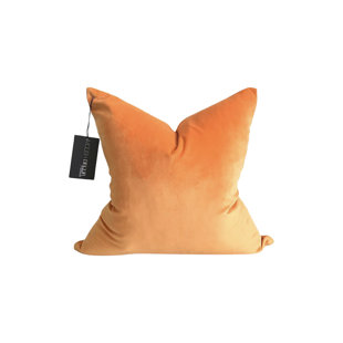 https://assets.wfcdn.com/im/43276666/resize-h310-w310%5Ecompr-r85/2389/238965163/velvet-pillow-cover.jpg