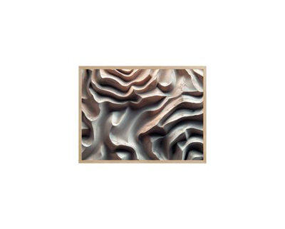 Contours of Memory