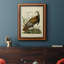 Toile de qualité supérieure Audubon Wild Turquie, prête à être accrochée-370099218