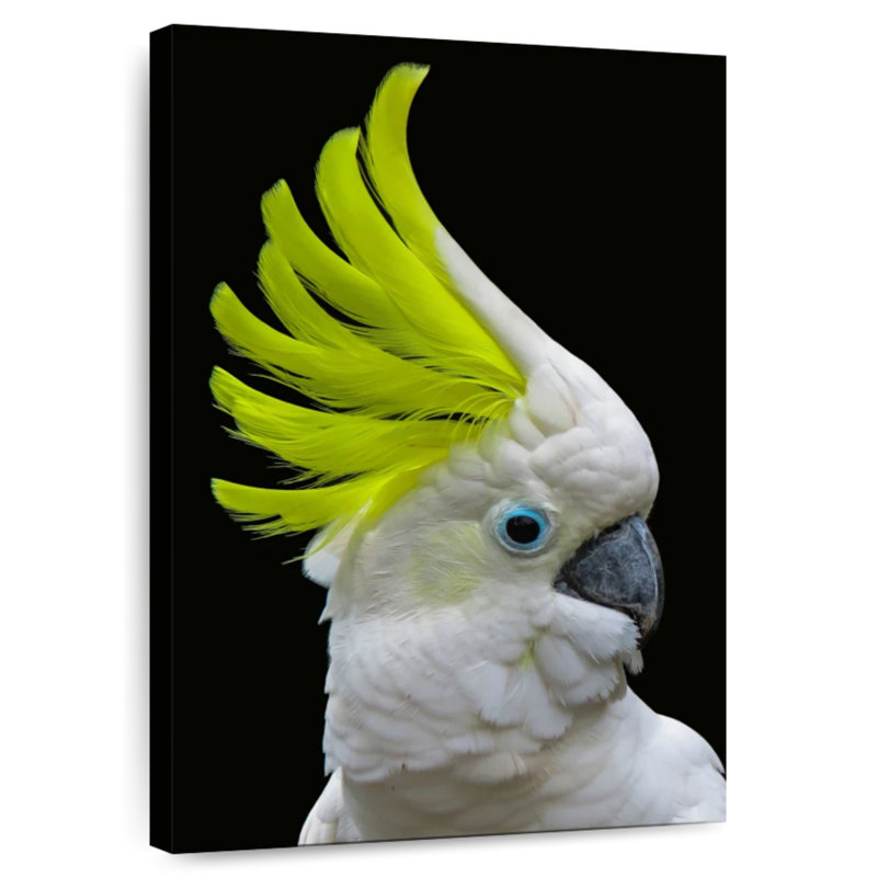 Brampt Yellow Crested Cockatoo, 51" H x 34" W