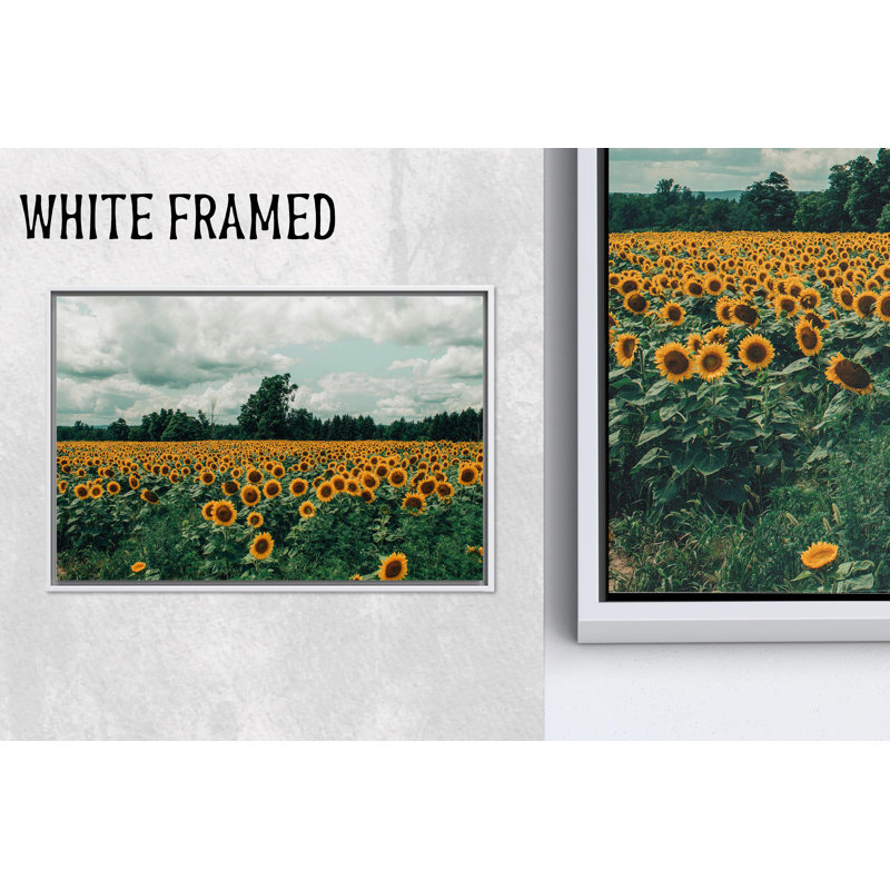 Œuvre imprimée sur toile: Tournesol champêtre, vue de paysage, 1P, 63,1 po de hauteur x 114,2 po de largeur