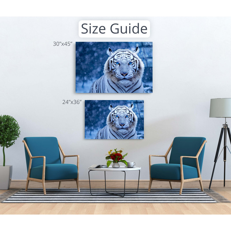 Tigre blanc neige, photographie animalière, décoration murale en acrylique, H 24 po x l 36 po, Unframed