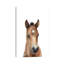 «Bay Arabian Foal» par Watercolor Luv - reproduction d'art-52940597-52940598-52940605