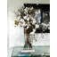 Arrangement in Vase