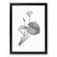 Egyptian Lotus Flower - Picture Frame Painting Print-55725158-55725161