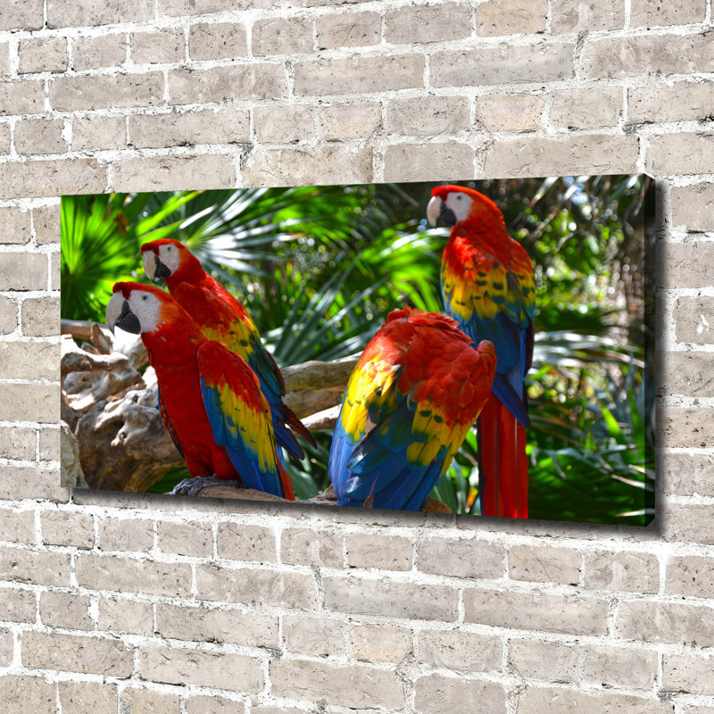 Macaw Parrots - Wrapped Canvas Print