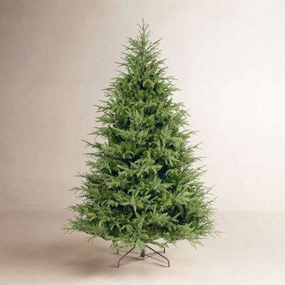 Fir Christmas Tree