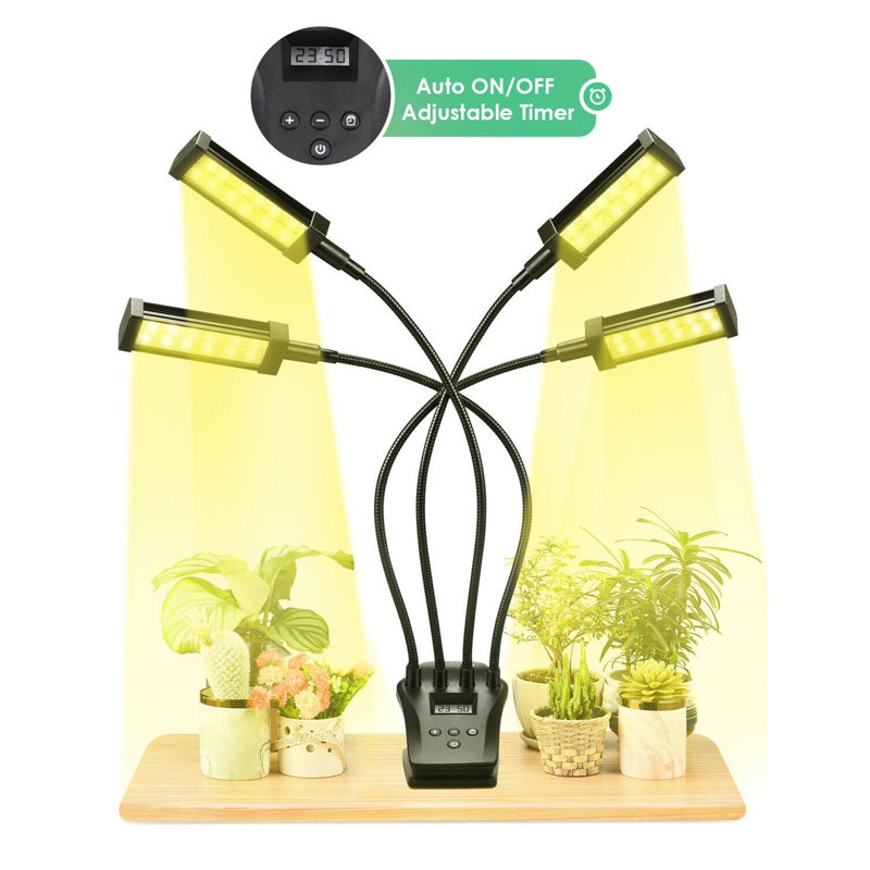 Faariha Lamp