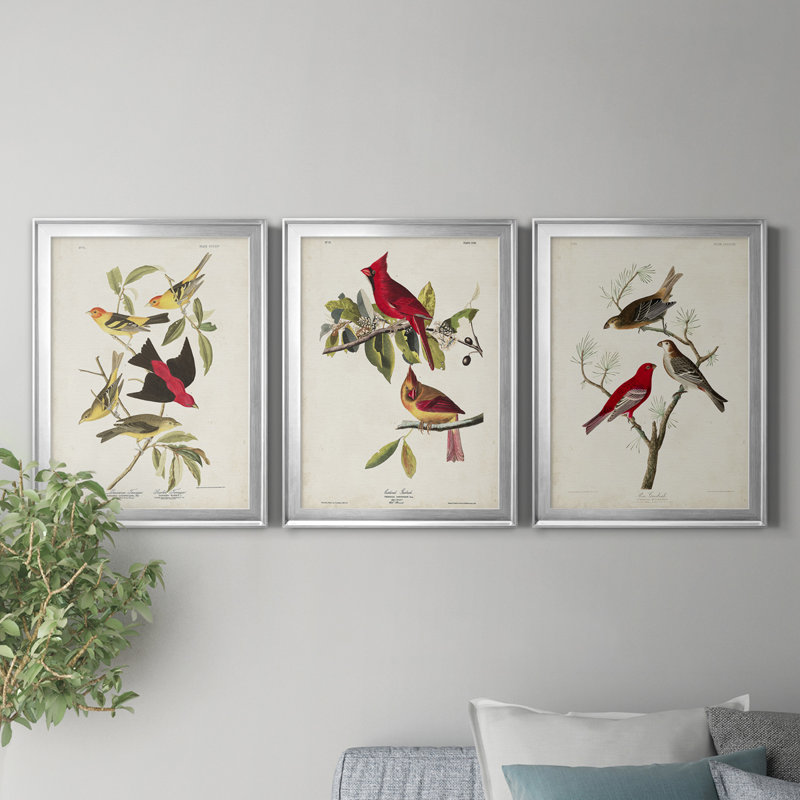 Pl 354 Louisiana Tanager - Ensemble de 3 impressions encadrées sur toile, H 18,5 po x l 73,5 po x P 1,5 po, Argent