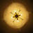 4 - Light Scalloped Shade Flower Drum Semi Flush Mount