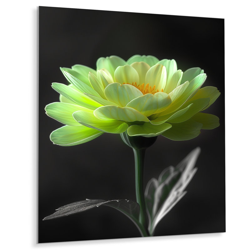 Vert, noir, jardin, glamour, souci, art mural, Sans cadre, métal, H 34 po x l 44 po
