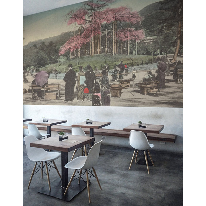 Bohall 2.5m x 2.5m Matte Mural, 250 x 250cm