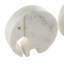 Cole And Grey Marble Circular Abstract Elephant Sculpture With Gray Marble Veins And Cutouts