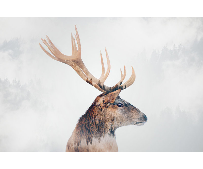 Wrapped Canvas Print, 60.96 cm H x 91.44 cm W