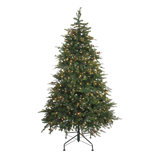 6.5' Pre-Lit Hunter Fir Artificial Full Christmas Tree - Clear Lights