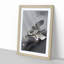 Eagle Hunting by Ohara Koson - Picture Frame Painting Print-55732591-55732592