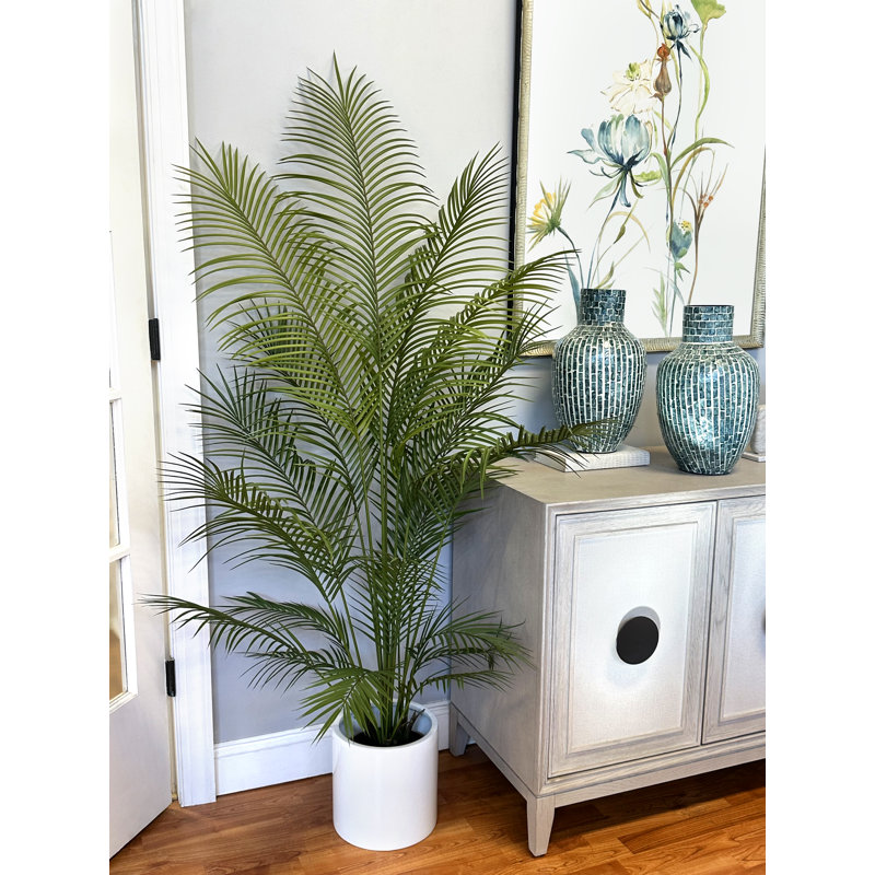 Outdoor UV Rated Kentia Palm Drop-In