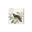 «Bird In The Tree Light», souvenirs sur toile-23207332