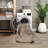 Washable Non-Slip Traditional Area Rug - Brown / Blue / Orange Rug for Entryway, Hallway, Bathroom, and Kitchen - Fairlin-2137846635