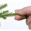 Pin artificiel Norfolk en pot-756758627