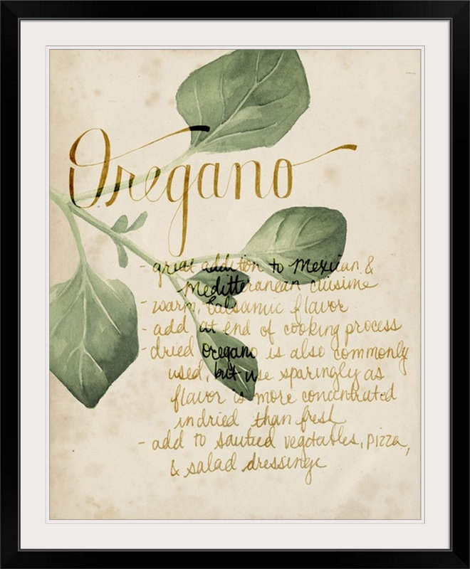 Herb Study " Herb Study III " by Grace Popp August Grove® 