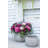 Enderby Handmade Ceramic Pot Planter