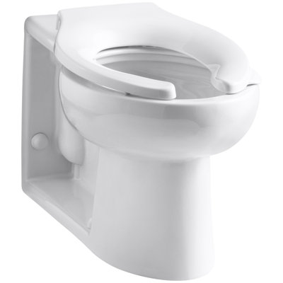 Anglesley Elongated Toilet Bowl with Rear Spud