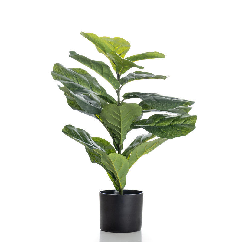 70cm Faux Real Touch Fiddleleaf Fig Tree