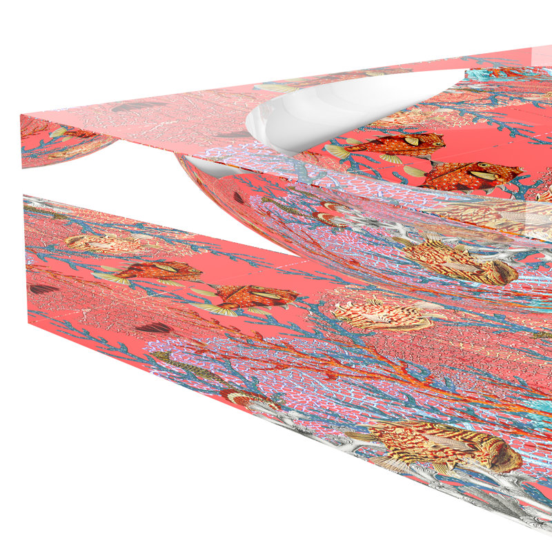 Plat à chat en acrylique Fan Coral Reef Corallo, L 8 po x P 8 po x H 2 po