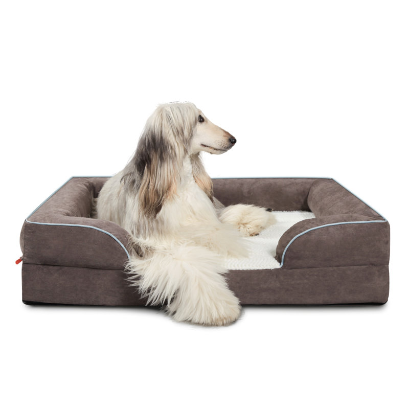 Canapé pour chien en mousse à mémoire de forme Laifug, lit moyen, avec doublure imperméable et housse amovible lavable