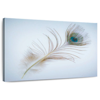 Kerner Peacock Feather In Blue
