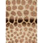 Hand Knotted Wool Animal Print Area Rug in Beige