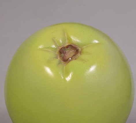 Small Green Pear Over Sized Statue