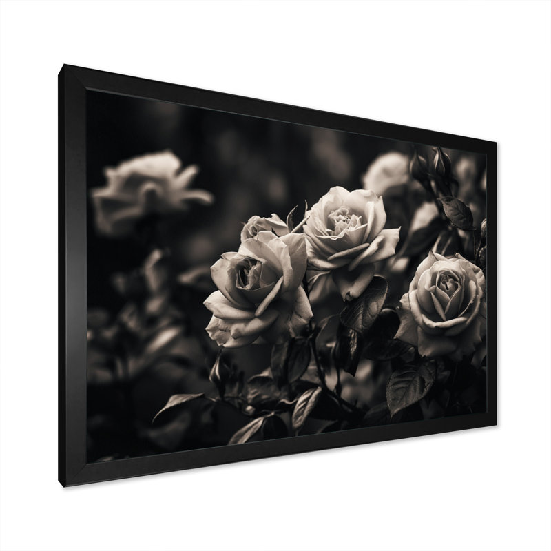 «Gray Romantic Roses II», impression sur toile, Cadre photo noir, H 12 po x l 20 po x P 1 po