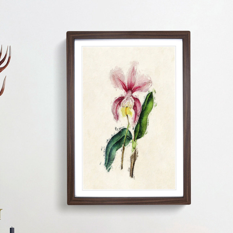 Illustration of a Pink Cattleya Orchid - Picture Frame Painting Print, Walnut Framed, 36cm H x 27cm W x 2cm D