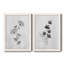Neutre pré III - reproduction de dessin-940881620-940881621-940881626