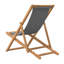 Hayg Folding Beach Chair-1811743318