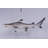 Black Tip Shark Statue
