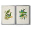 «Lime & Cerulean Parrots I», ensemble de 2 reproductions encadrées sur toile-1595283927-1595283930